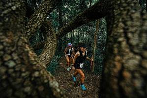 BIB: 
                            <button type="button" onclick="openModal(25668210)" class="btn btn-primary btn-sm float-right btn-popup" data-toggle="modal" data-target=".modal-high-quality">
                        <i class="fas fa-shopping-cart"></i> Add to Cart
                    </button>
                                            <button type="button" onclick="isThisMe(25668210, true)" class="btn btn-success btn-sm float-right btn-popup btn-isme hidden" data-toggle="tooltip" data-placement="bottom" title="นี่คือรูปของคุณใช่ไหม คลิกที่นี่เพื่อเอาเข้าอัลบั้ม">
                        <i class="fas fa-plus"></i> Add to album
                    </button>
                    <button type="button" onclick="isThisMe(25668210, false)" class="btn btn-warning btn-sm float-right btn-popup btn-isnotme hidden">
                        <i class="fas fa-ban"></i> Remove from album
                    </button>